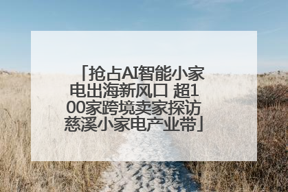 抢占AI智能小家电出海新风口 超100家跨境卖家探访慈溪小家电产业带